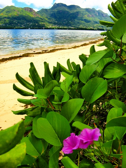 Cambodian beach view